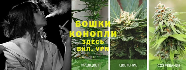 прущие крисы Абдулино