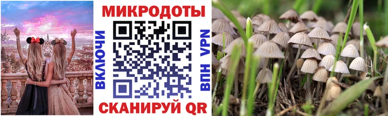 Галлюциногенные грибы MAGIC MUSHROOMS  кракен как зайти  Лакинск 